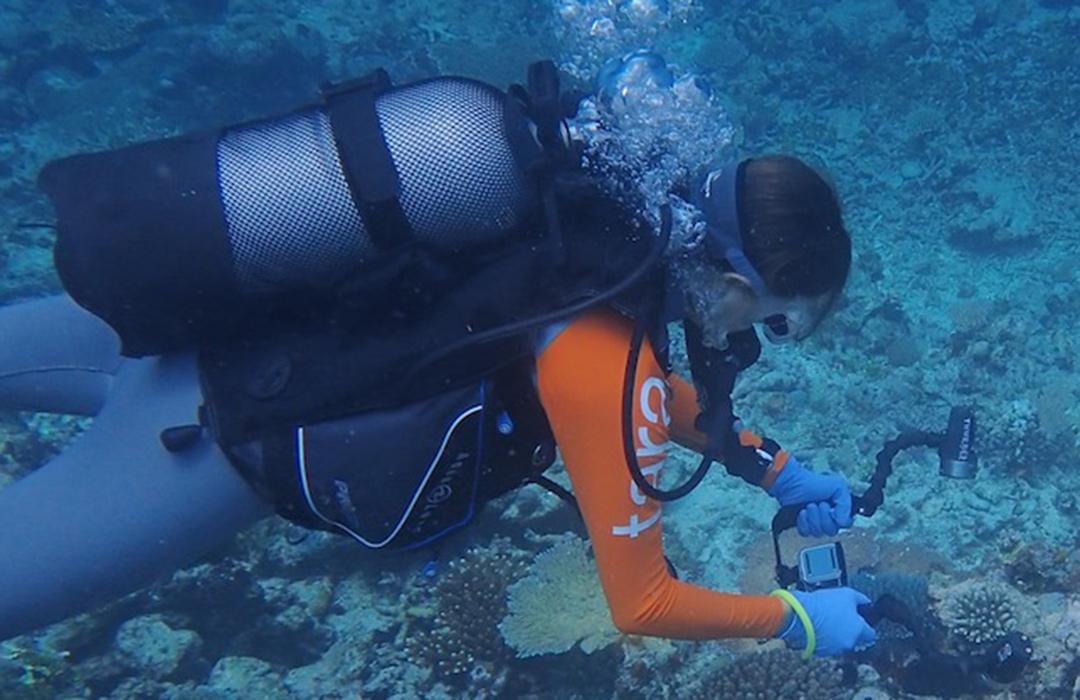 Grace Klinges scuba diving through reef