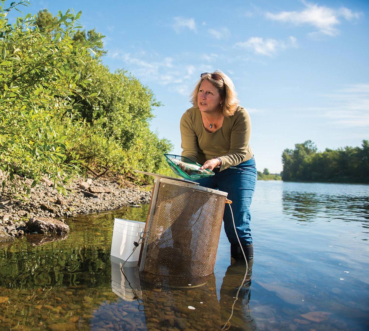 Jerri Bartholomew receiving samples in river