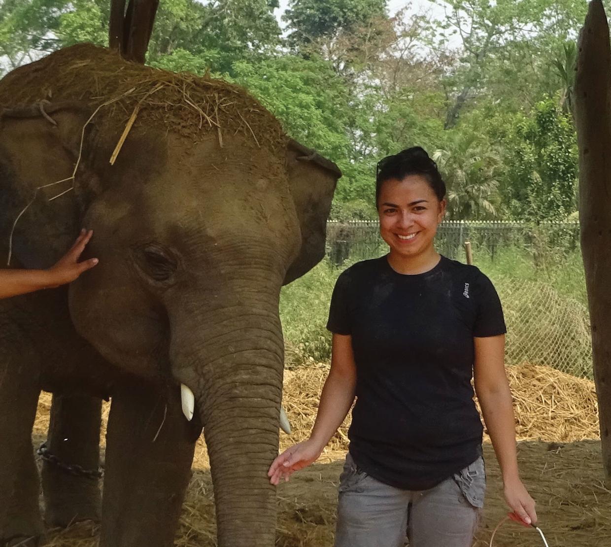 Stephanie Rosales feeding an elephant