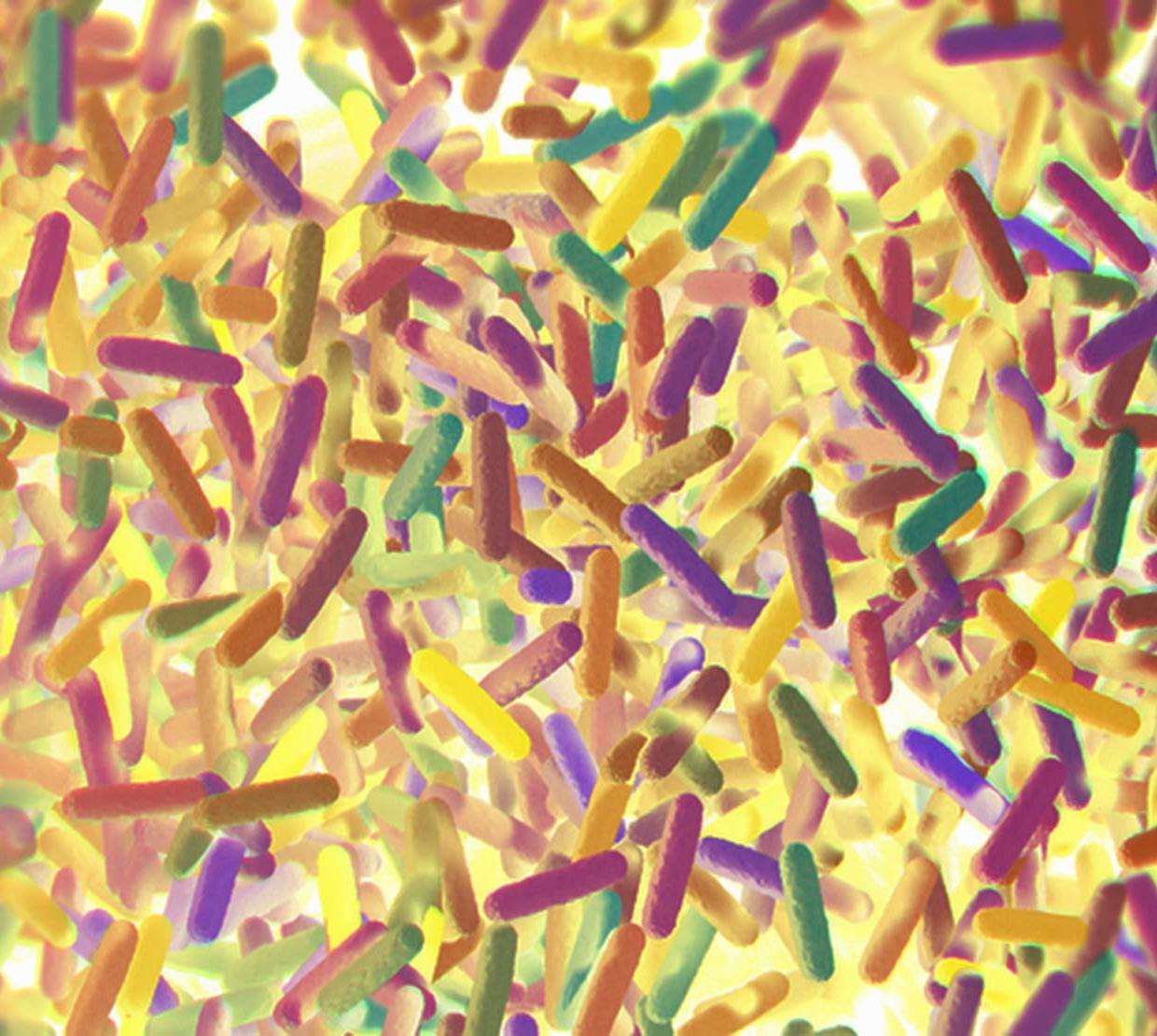 picture of yellow microbiomes