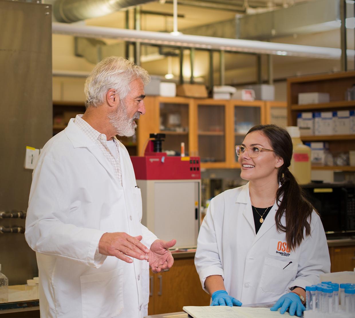 Stephen Giovannoni and Sarah Wolf working together in Giovannonis lab.