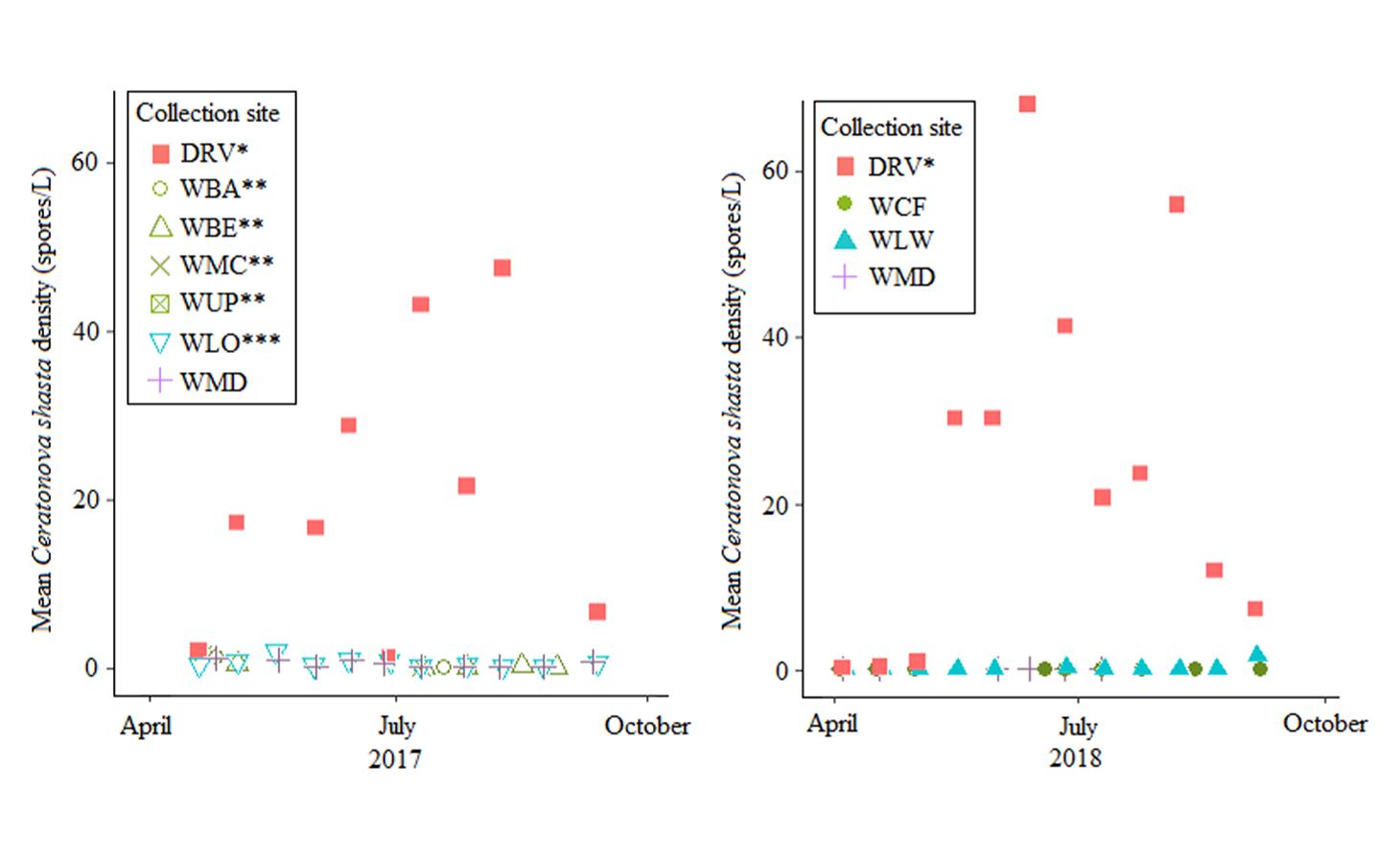 An image of a scatterplot chart comparing Mean Ceratonova shasta density (spores/L) with the dates collected in 2017, next to an identical scatterplot chart with results from 2018.
