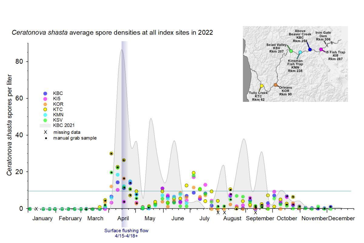 An image of a scatterplot chart comparing Ceratonova shasta average spore densities at all index sites in 2022 with Ceratonova shasta spores per liter.