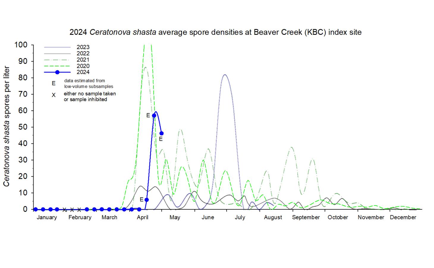 Graph showing the density of waterborne Ceratonova shasta at the Beaver Creek index site in 2024.
