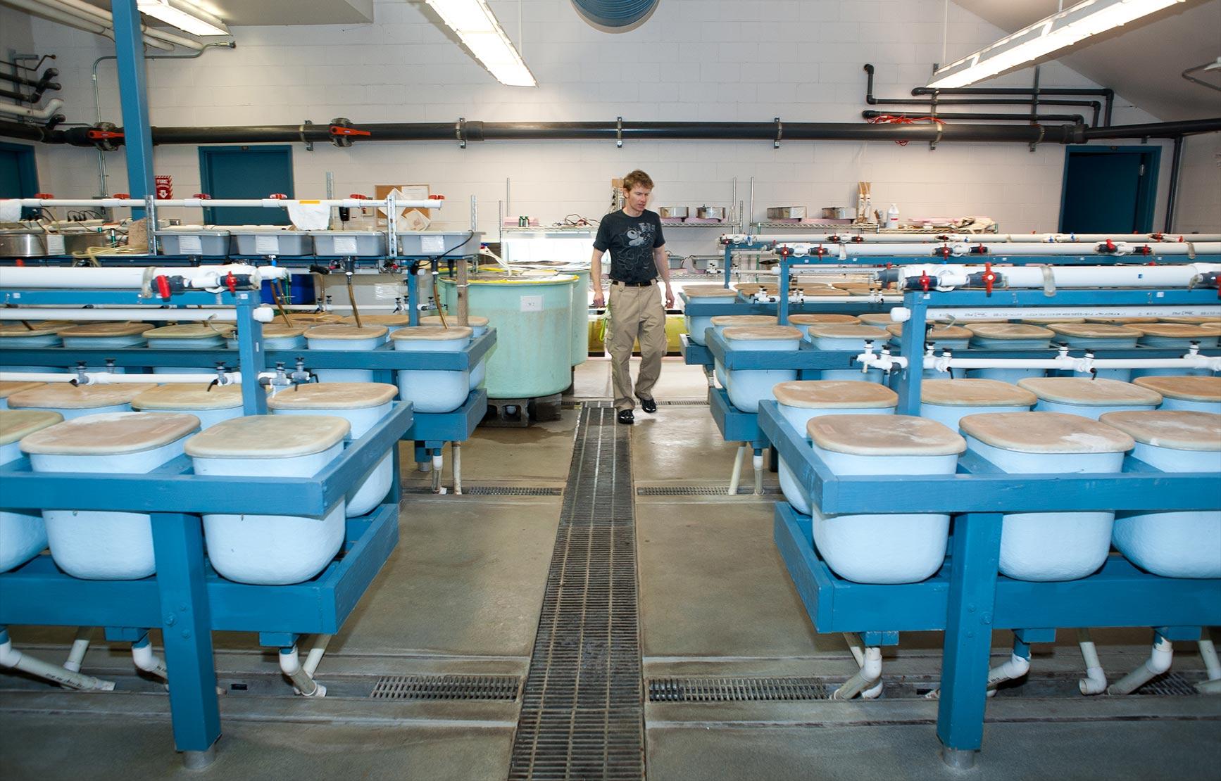 A faculty member walking through a warehouse of fish tanks at the John L. Fryer Aquatic Animal Health Laboratory.