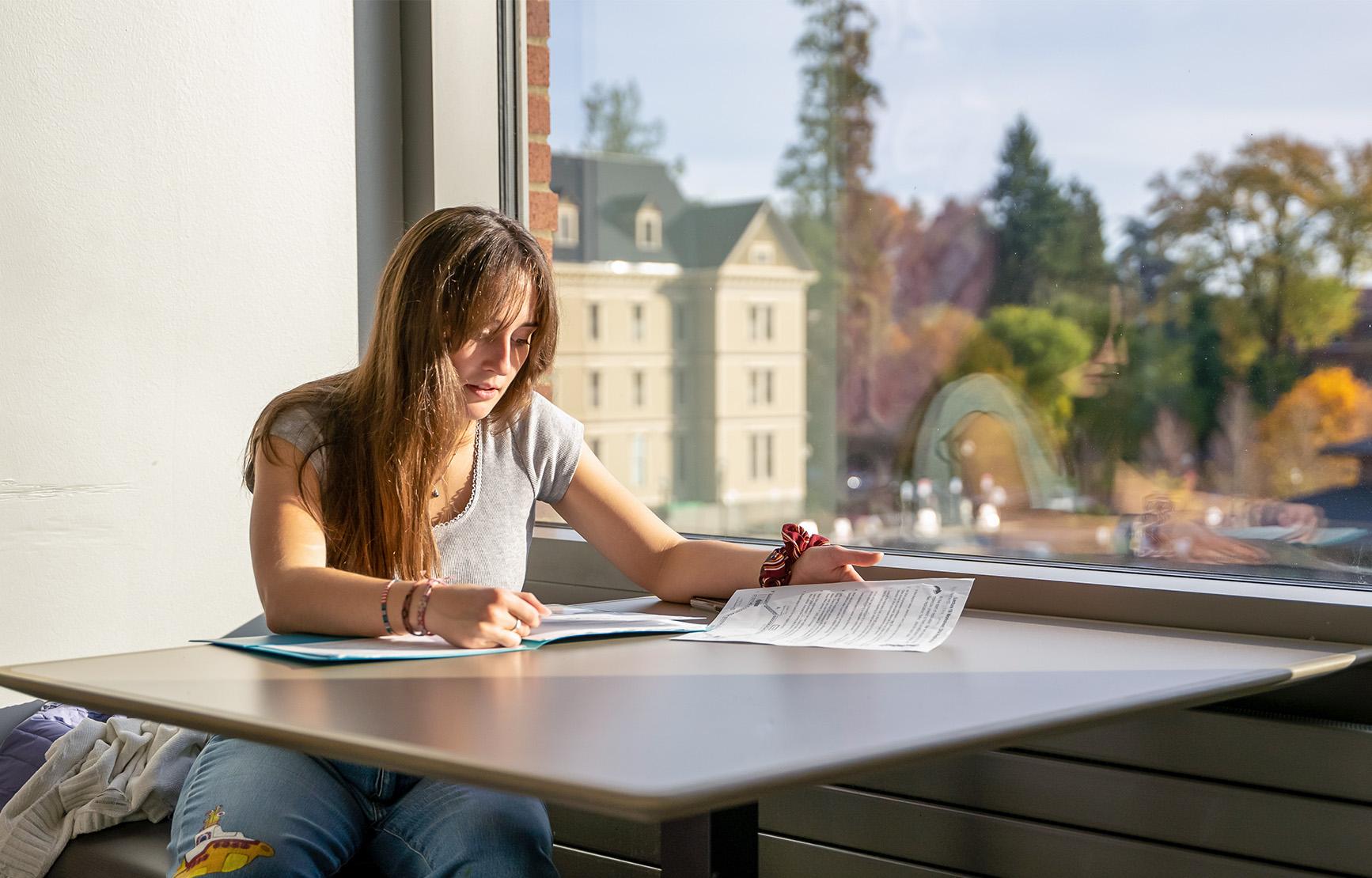 Student studying at table by window.
