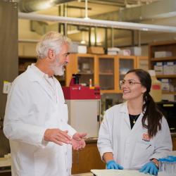 Stephen Giovannoni and Sarah Wolf working together in Giovannonis lab.