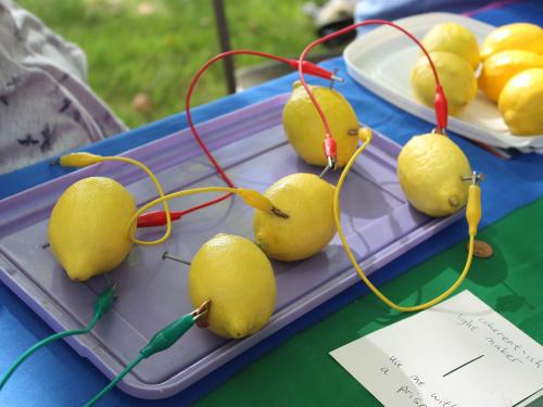 Lemons wired up for a science experiment at a club booth.