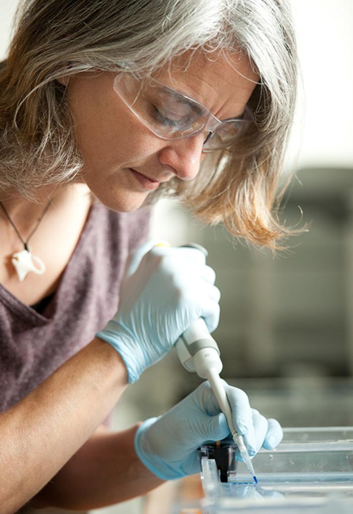 Rebecca Vega-Thurber disbursing samples in lab
