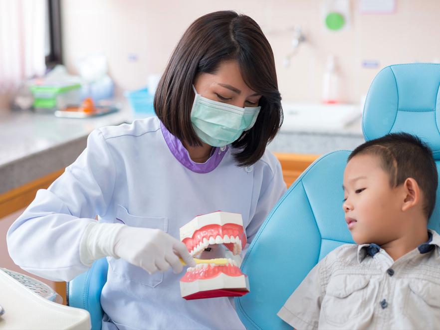 A dentist using a model to demonstrate how to brush your teeth to a child in her office.
